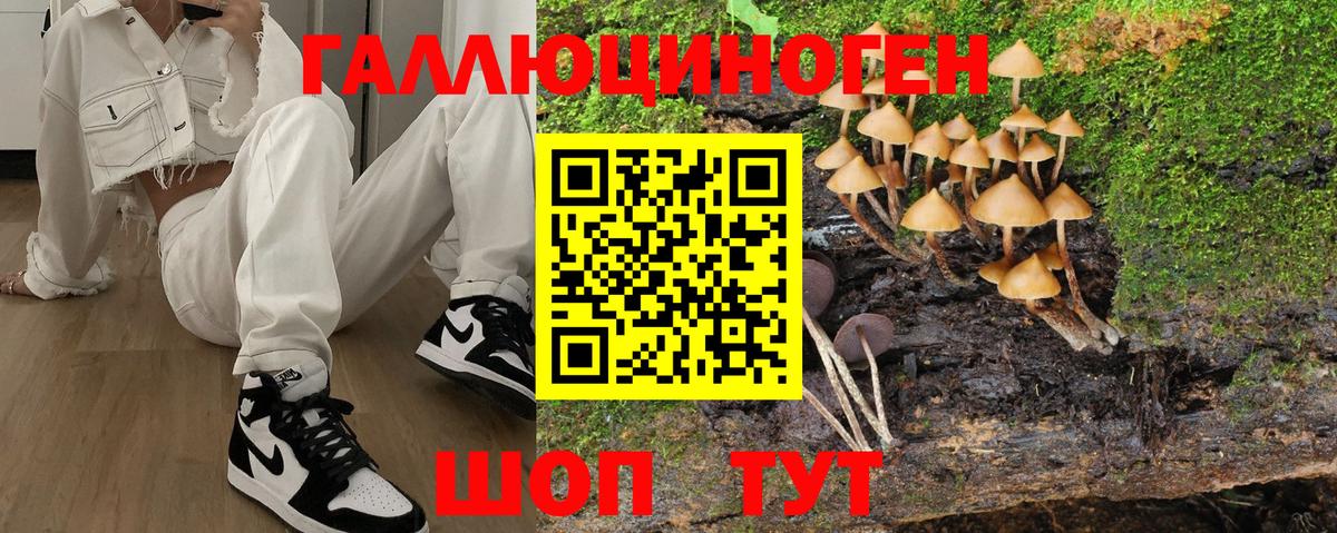 Псилоцибиновые грибы Cubensis Мариинск